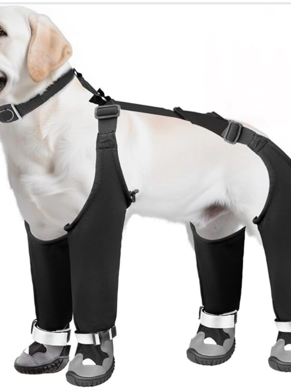 Dog Suspender Boots, Waterproof Dog Rain Boots, Puppy Snow Shoes Size 1